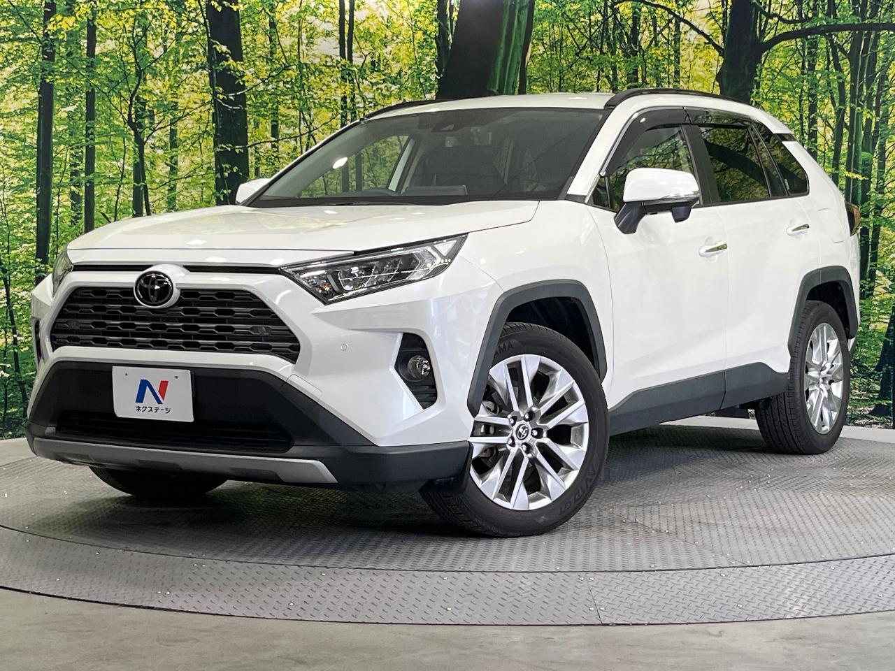 2019 Toyota RAV4 5D G Z Package