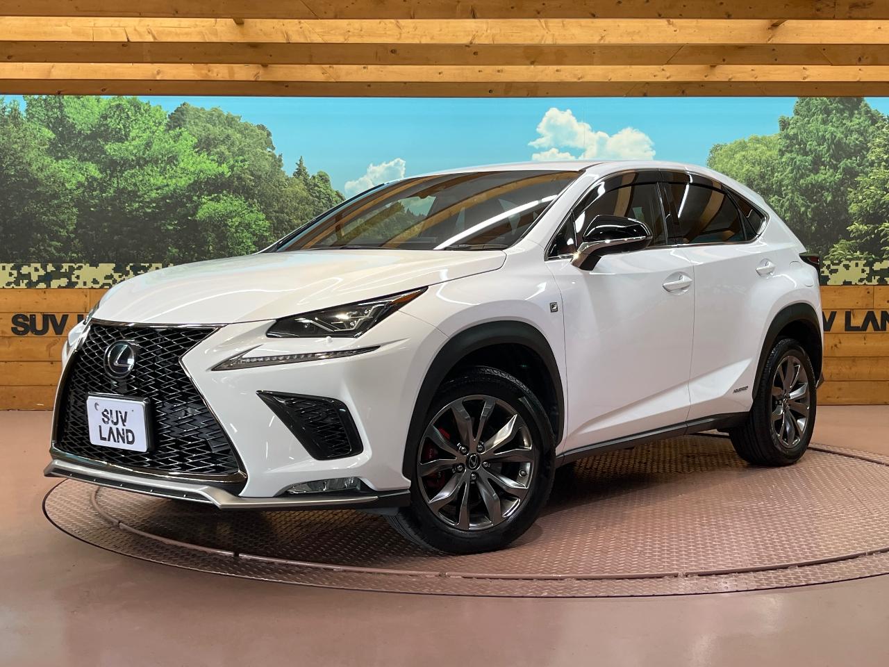 2018 Lexus NX Hybrid NX300h F SPORT
