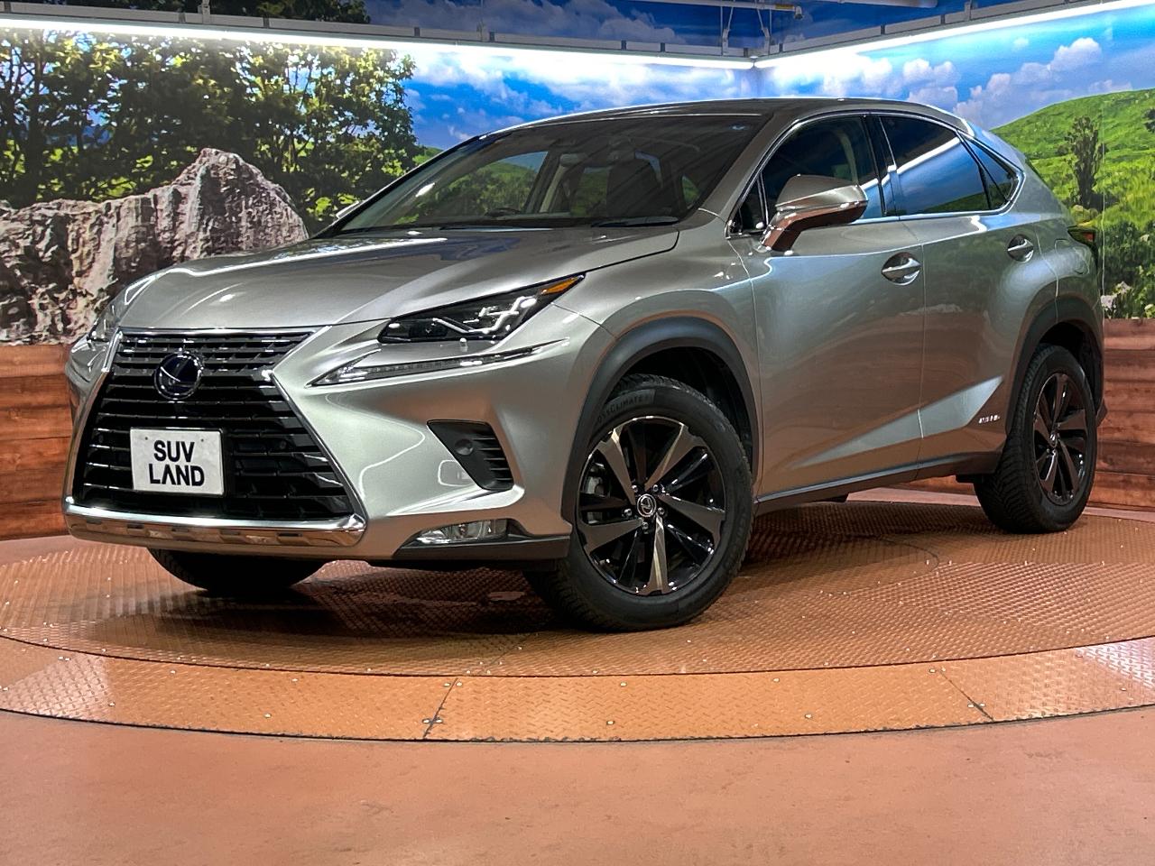 2019 Lexus NX Hybrid NX300h Version L
