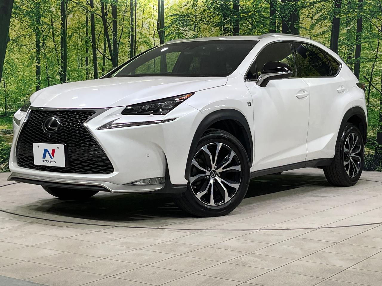 2014 Lexus NX NX200t F SPORT