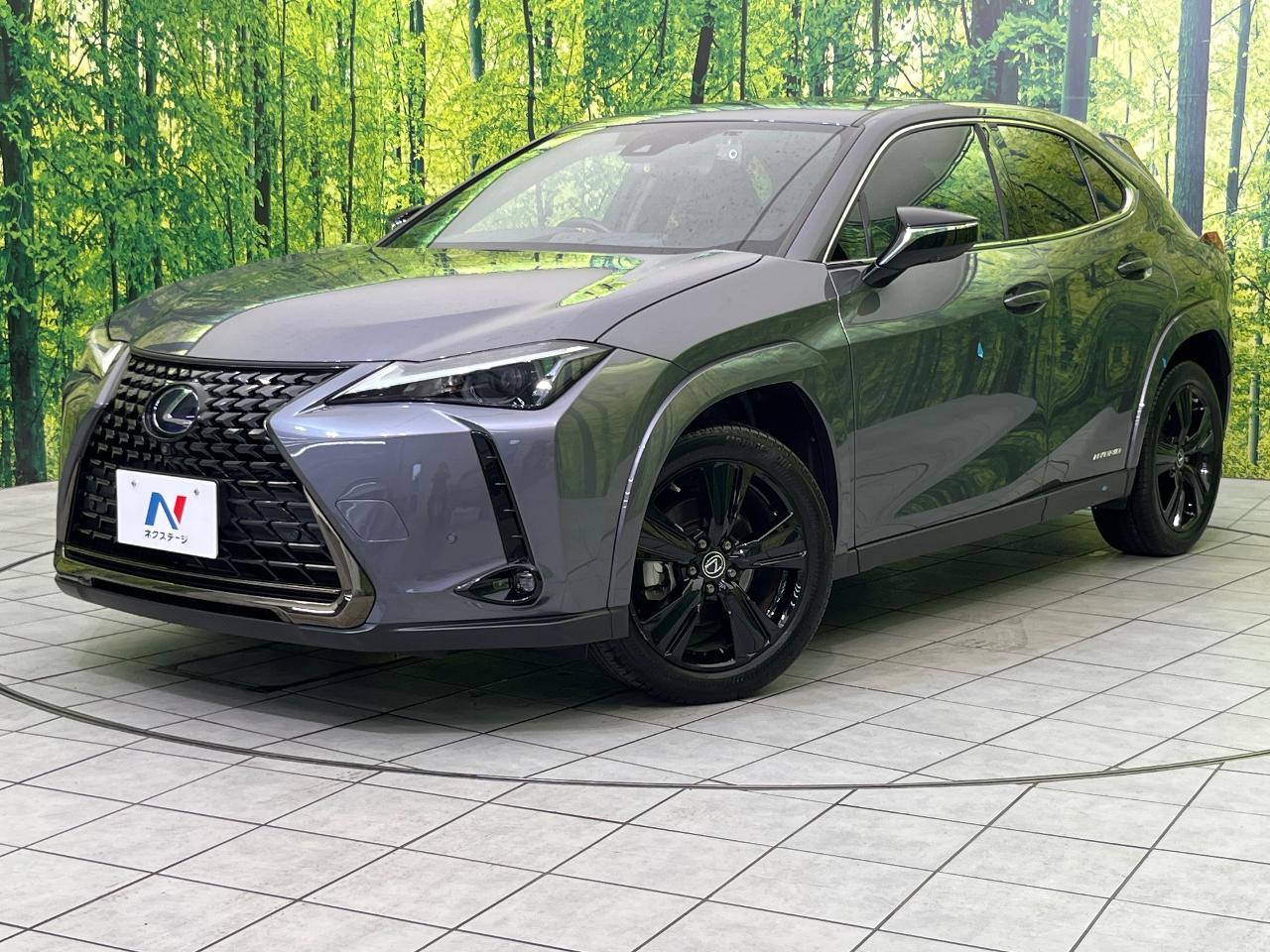 2022 Lexus UX Hybrid UX250h