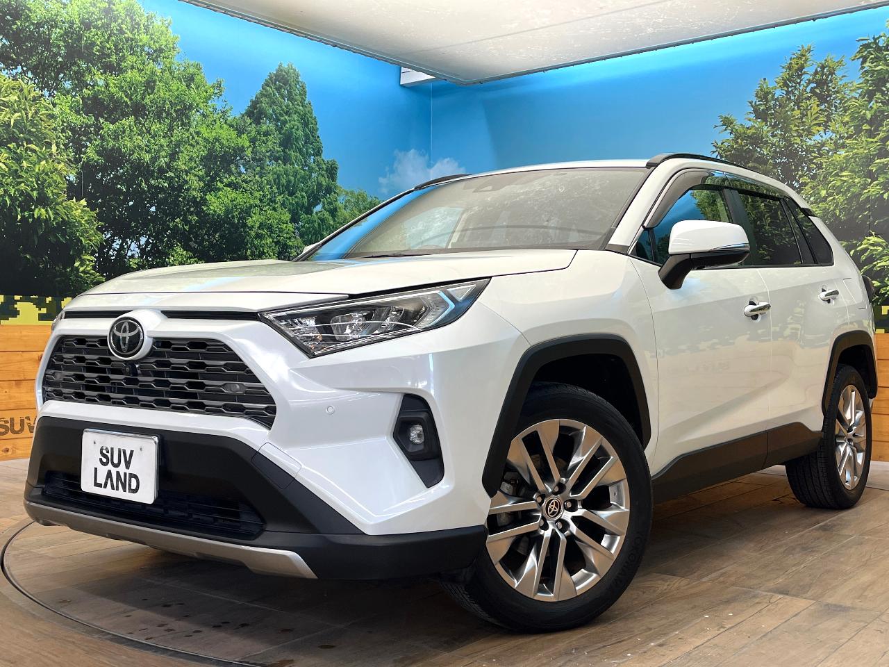 2022 Toyota RAV4 5D G Z Package