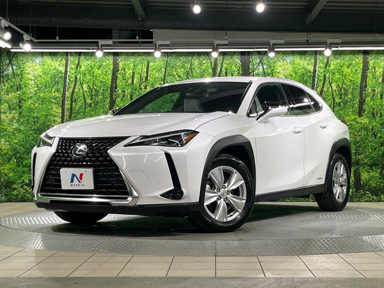 2019 Lexus UX Hybrid UX250h VERSION C