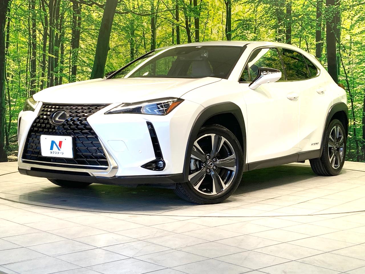 2021 Lexus UX Hybrid UX250h VERSION L