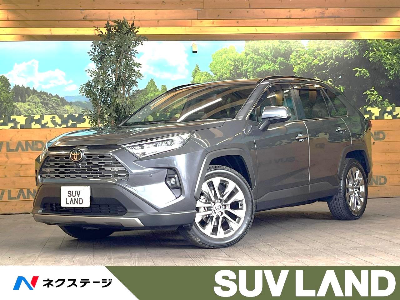 2025 Toyota RAV4 5D G Z Package