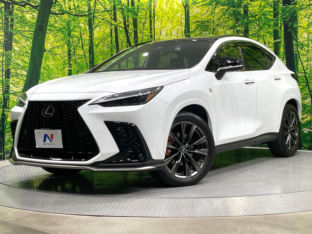 2022 Lexus NX Hybrid NX350h F Sport