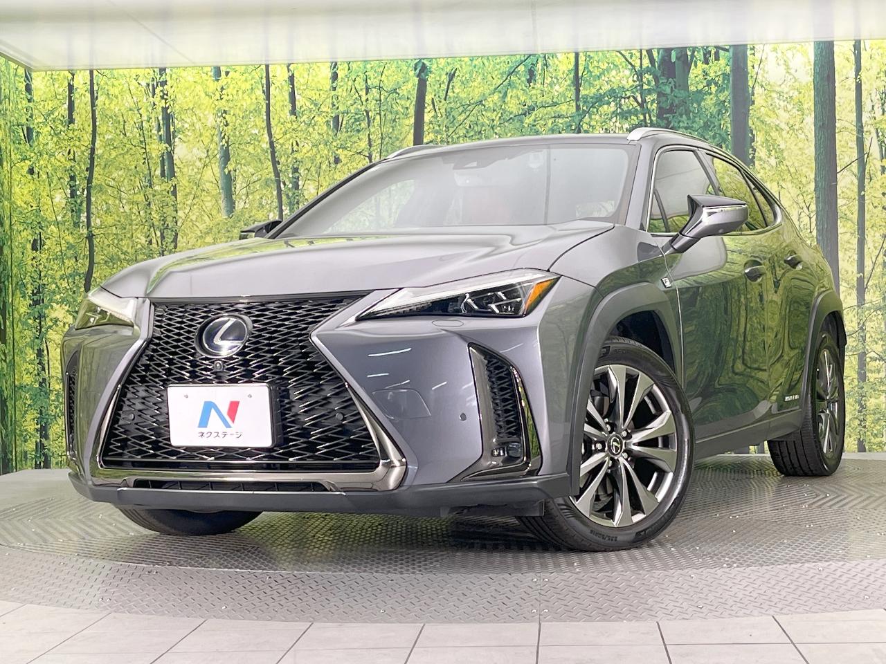 2019 Lexus UX Hybrid UX250h F SPORT