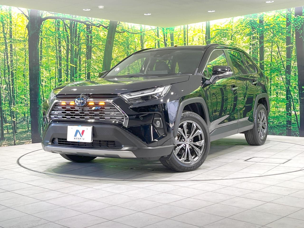 2024 Toyota RAV4 Hybrid Hybrid G