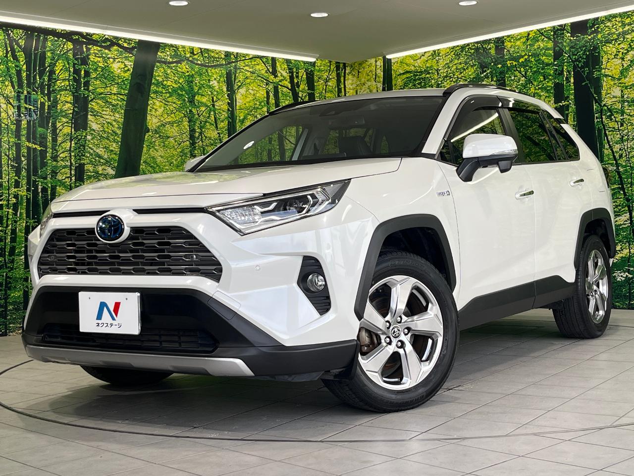 2019 Toyota RAV4 Hybrid Hybrid G