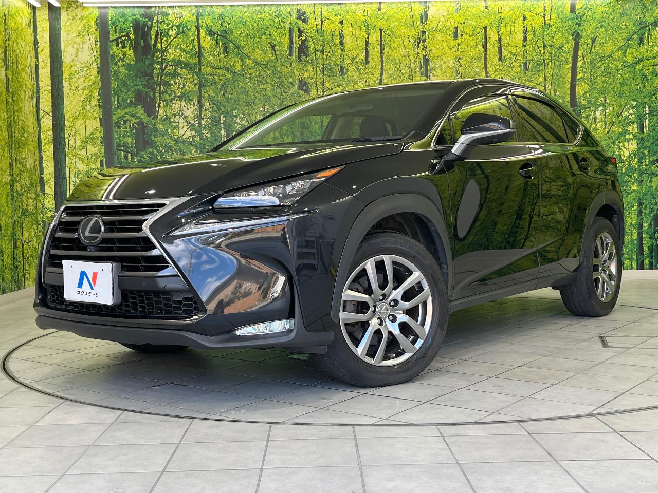 2016 Lexus NX NX200t I Package