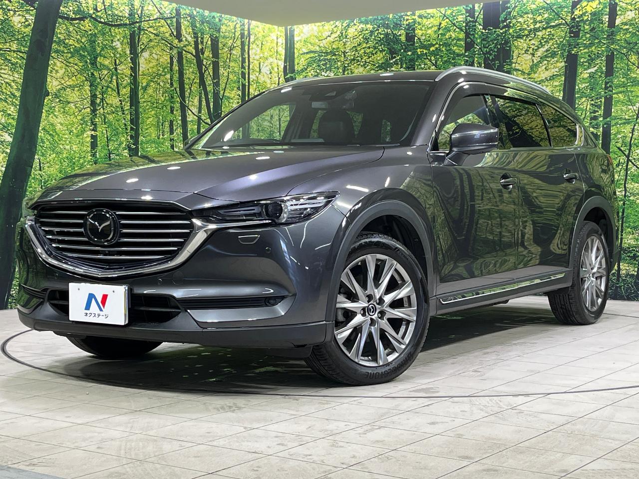 2017 Mazda CX-8 XD L Package