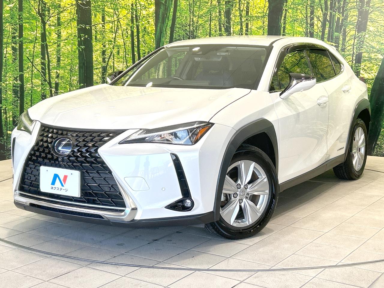 2019 Lexus UX Hybrid UX250h VERSION C