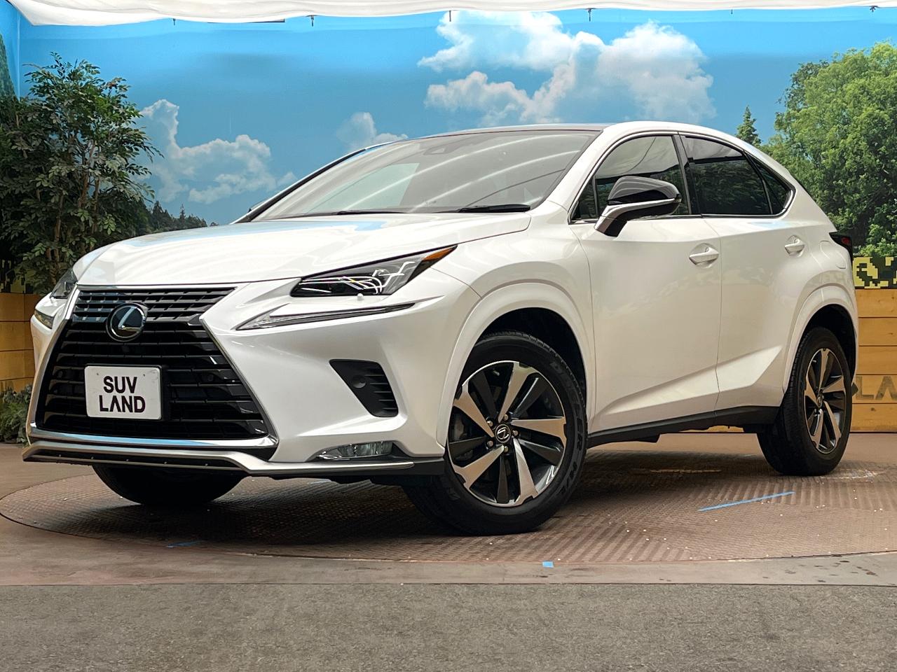 2020 Lexus NX NX300 Special Edition Spice & Chic