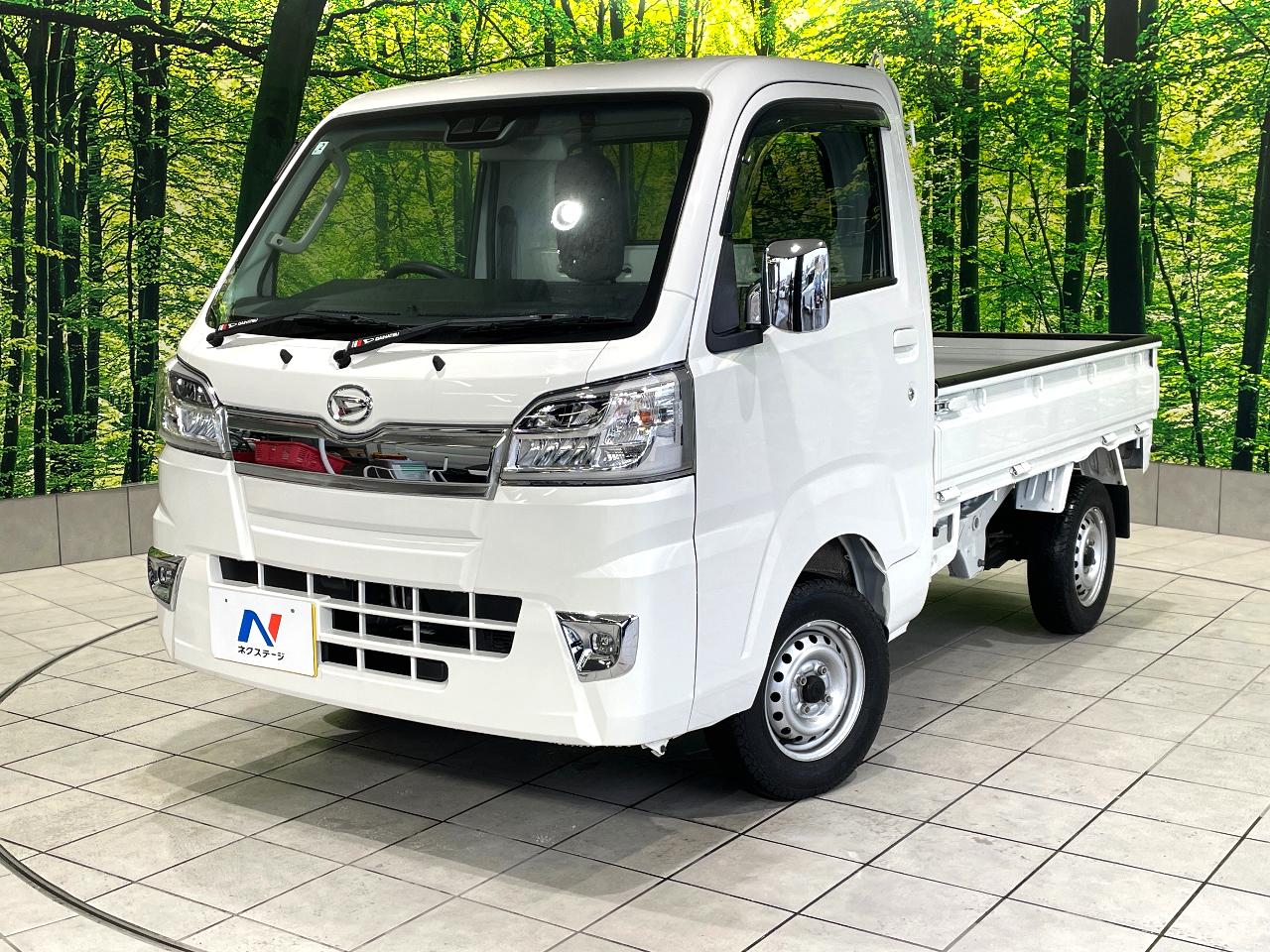 2020 Daihatsu Hijet Truck Extra SAIIIt