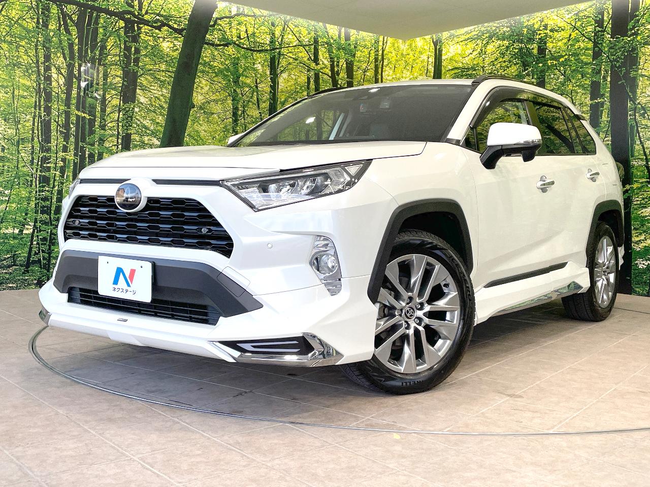 2019 Toyota RAV4 5D G Z Package