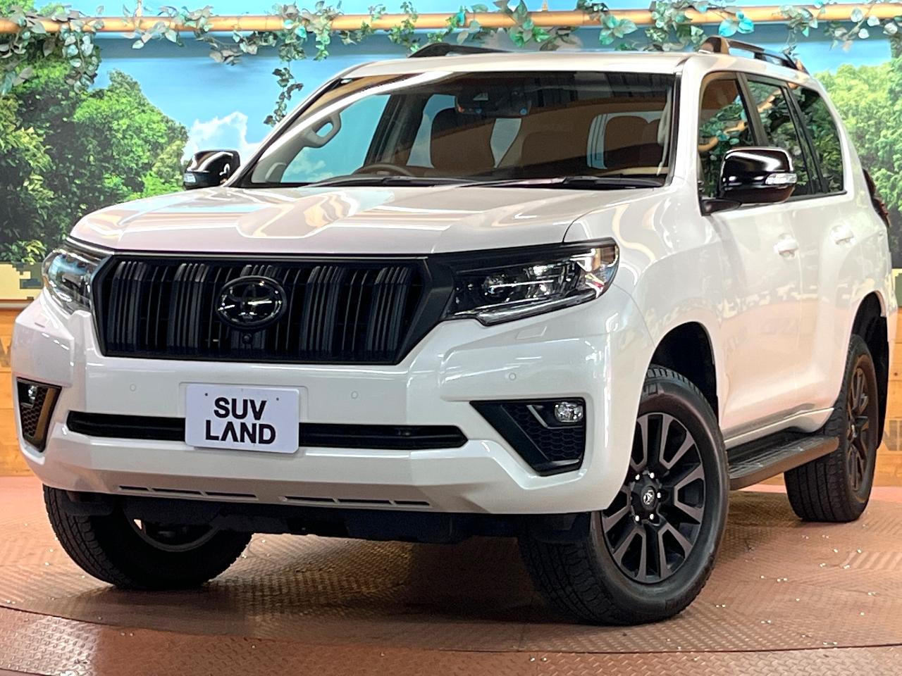 2022 Toyota LandCruiser Prado 5D TX L Package Matte Black Edition