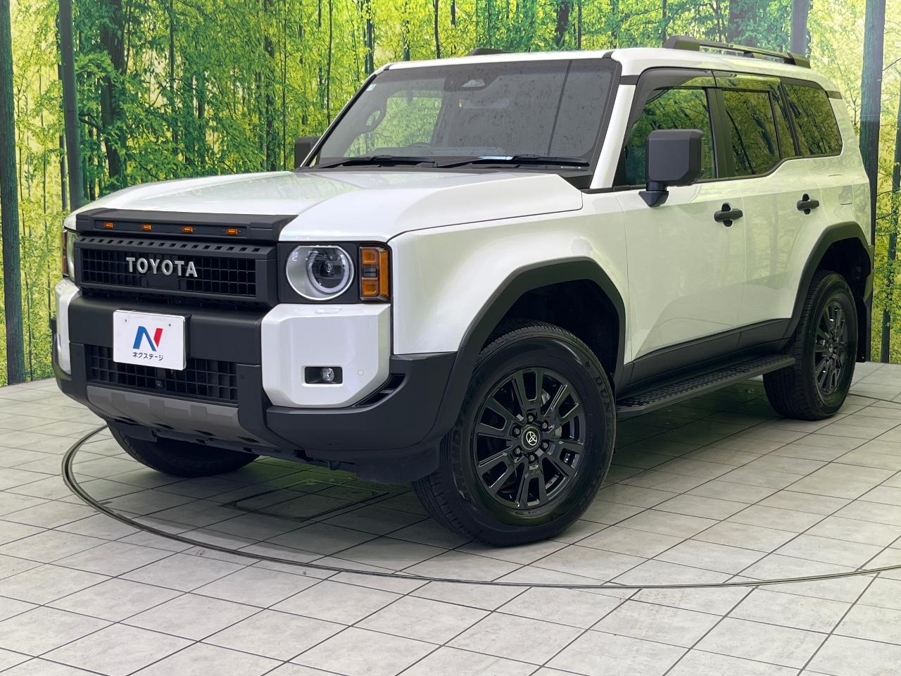 2025 Toyota LandCruiser 250 VX