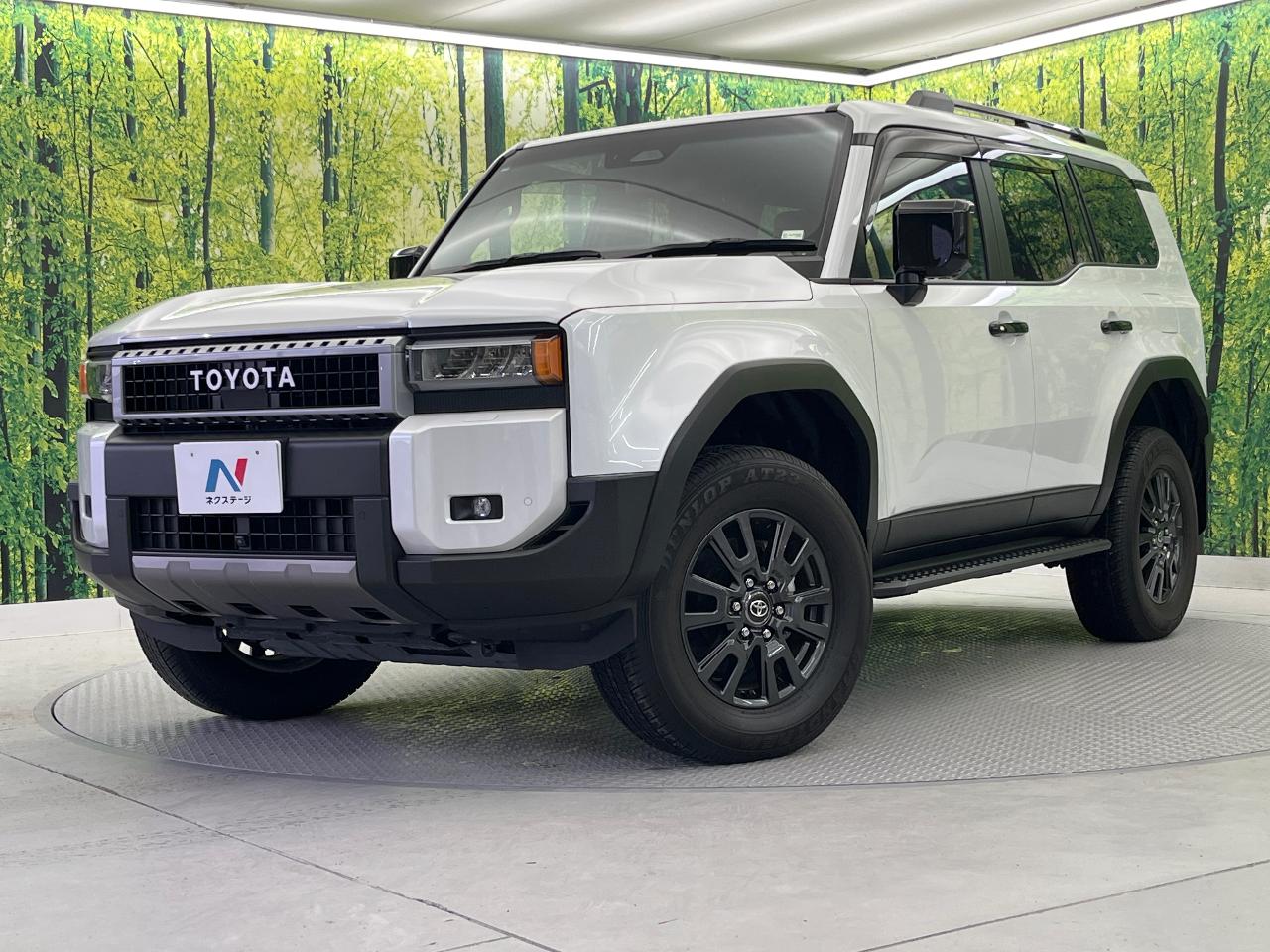 2024 Toyota LandCruiser 250 VX