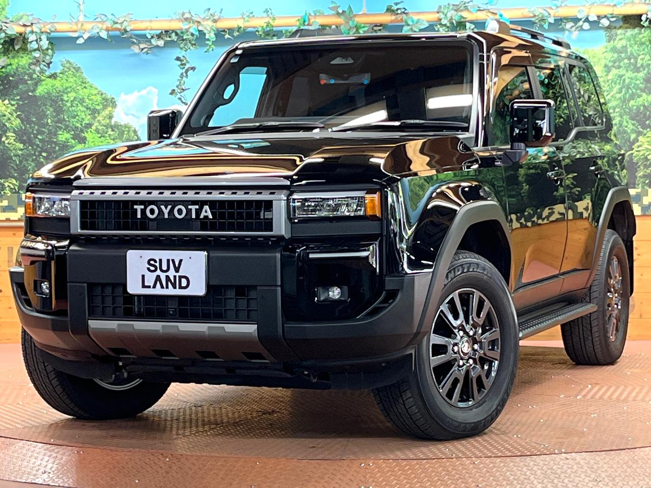2025 Toyota LandCruiser 250 VX