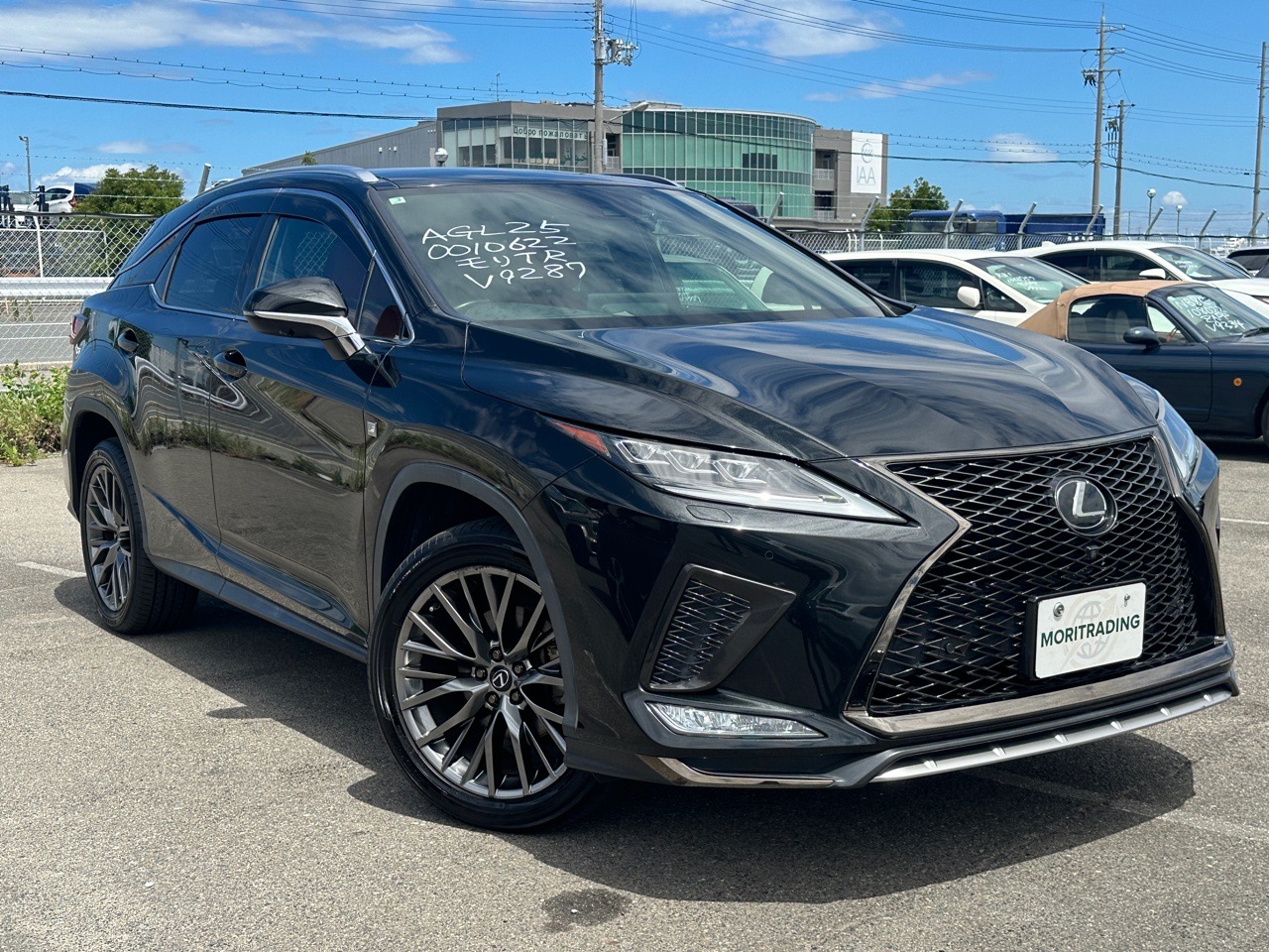 2021 LEXUS RX RX300 F Sport 4WD